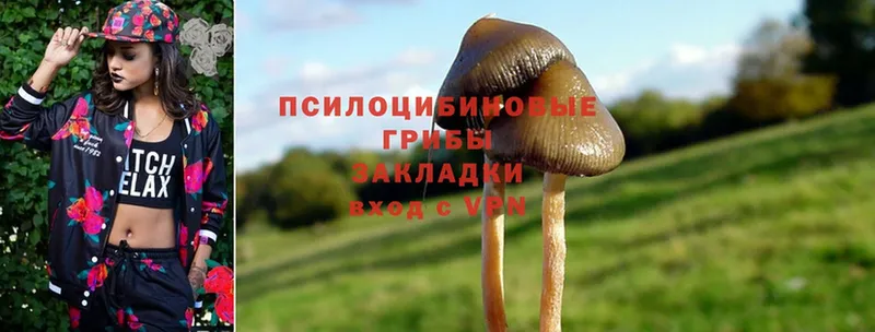 kraken онион  Высоковск  Галлюциногенные грибы MAGIC MUSHROOMS 