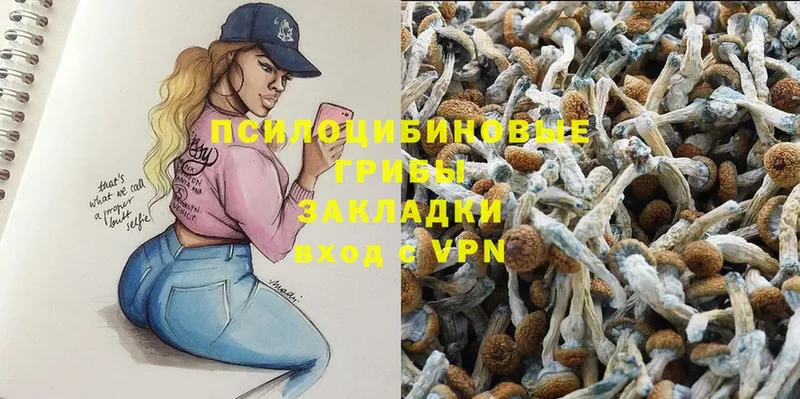 Галлюциногенные грибы Psilocybine cubensis Высоковск