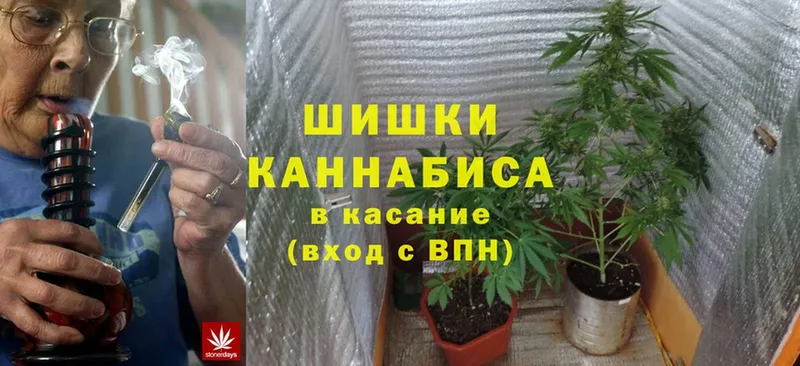 Бошки марихуана White Widow  Высоковск 